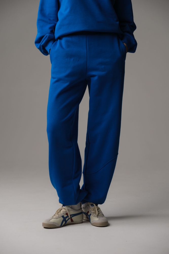 Брюки спортивные The Hills